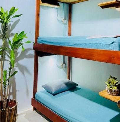 Hostal Holbox Zewnętrze zdjęcie